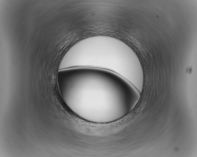 X0000096490039200801241221