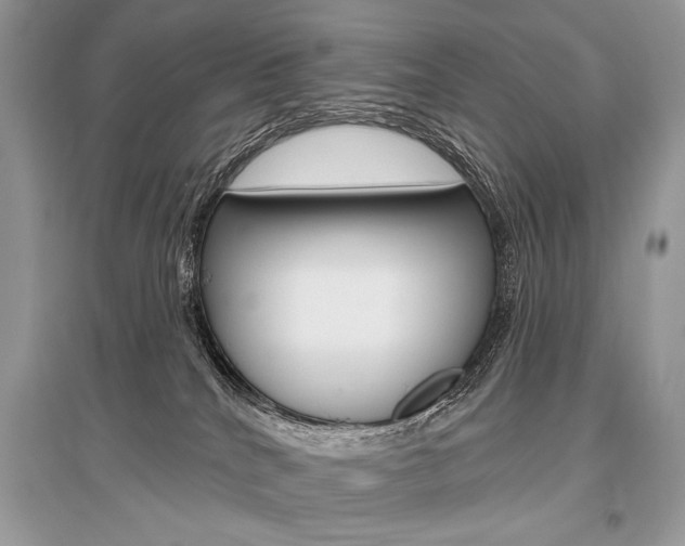 X0000096490040200801241221