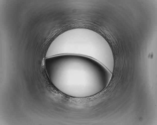 X0000096490041200801241221