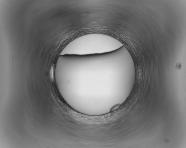 X0000096490042200801241221
