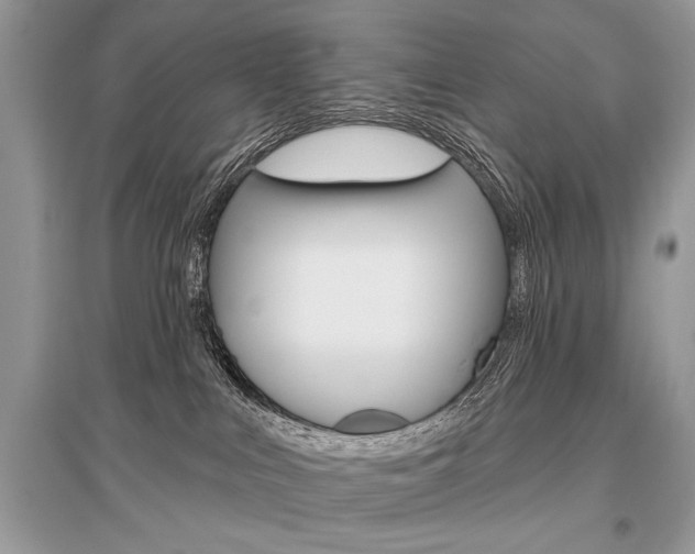 X0000096490043200801241221