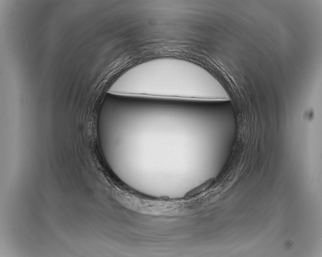 X0000096490044200801241221