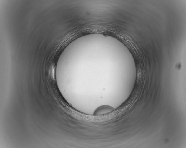 X0000096490046200801241221