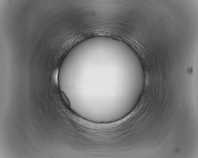 X0000096490047200801241221