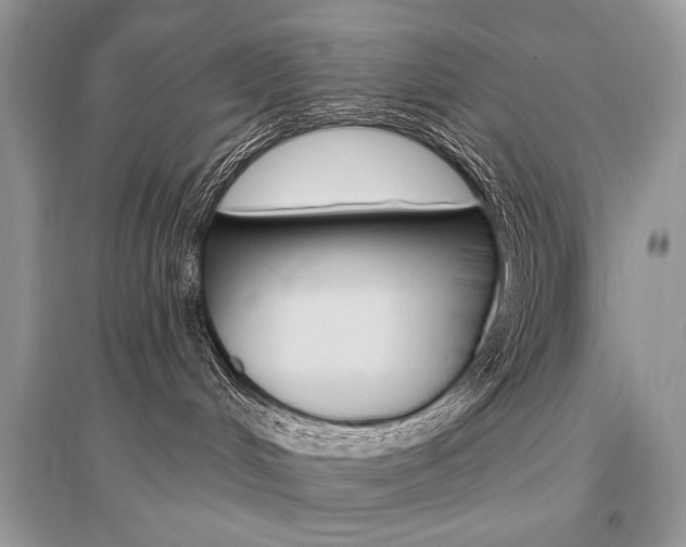 X0000096490048200801241221