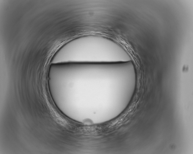 X0000096490049200801241220