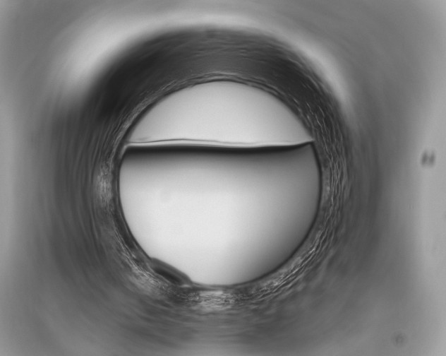X0000096490050200801241220