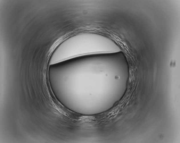 X0000096490051200801241220