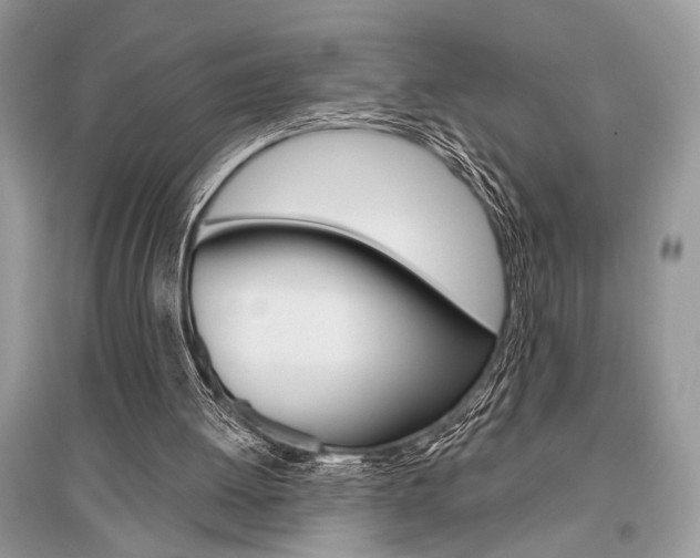 X0000096490052200801241220
