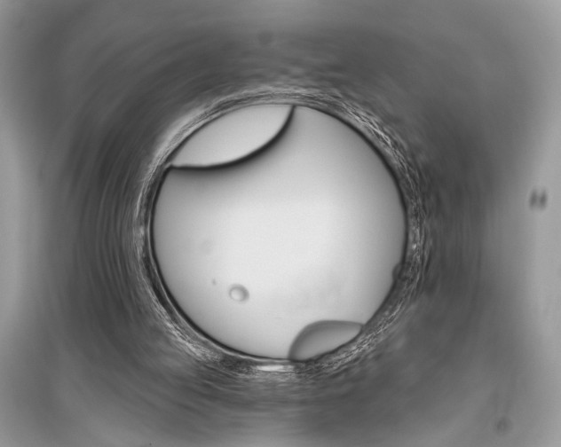X0000096490053200801241220