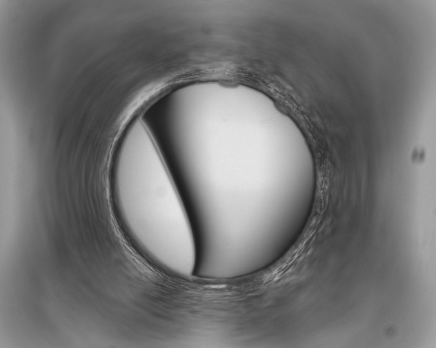 X0000096490054200801241220