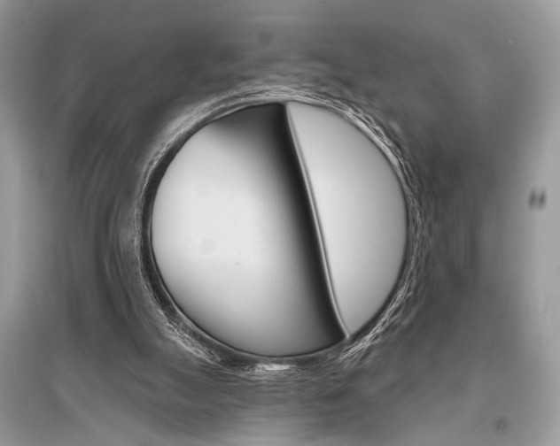 X0000096490055200801241220