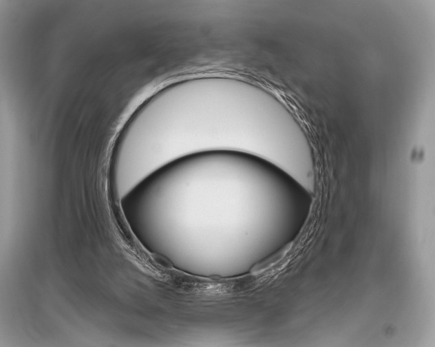 X0000096490056200801241220