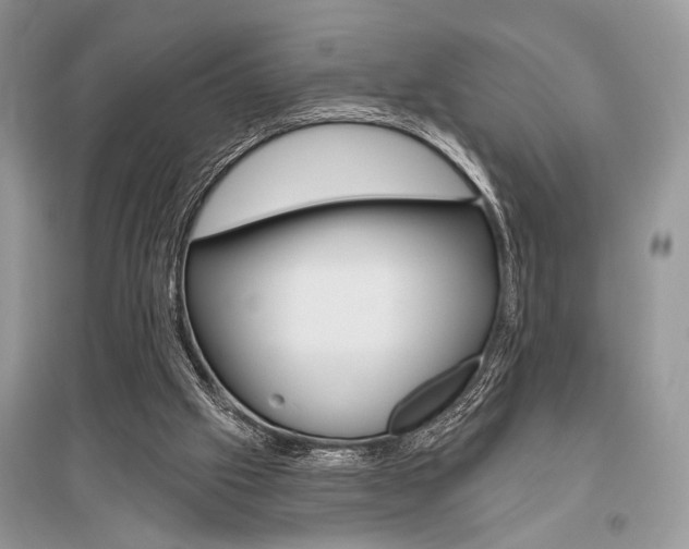 X0000096490057200801241220