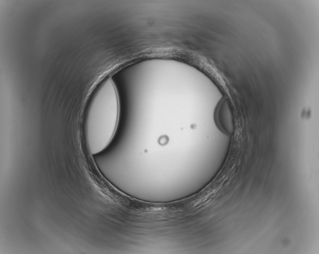 X0000096490059200801241220