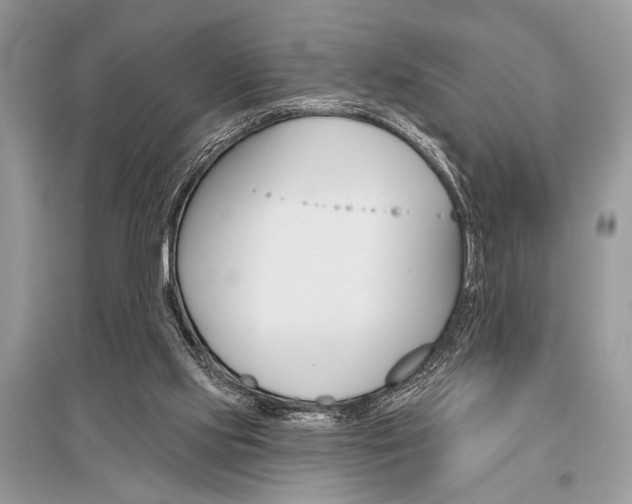 X0000096490061200801241220