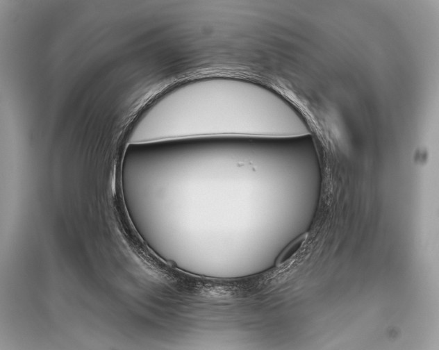 X0000096490062200801241220