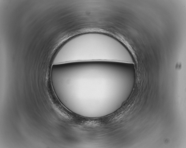 X0000096490063200801241220