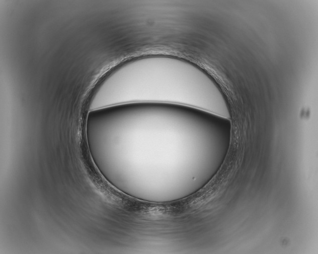 X0000096490064200801241220