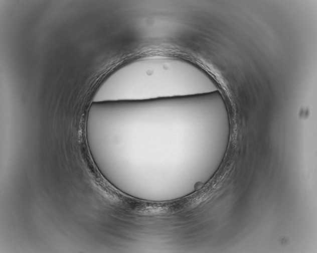 X0000096490065200801241220