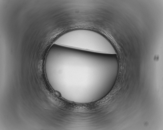 X0000096490066200801241220