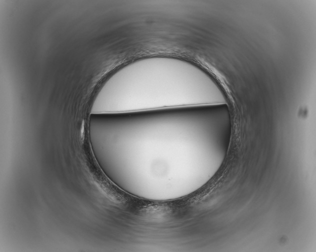 X0000096490067200801241220