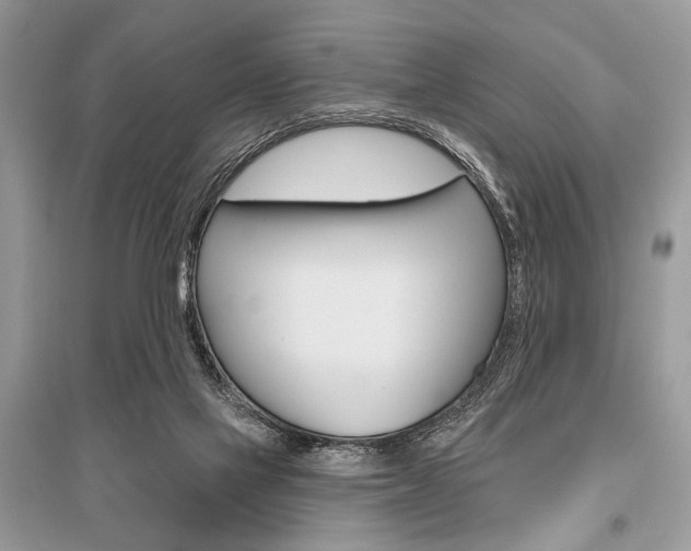 X0000096490069200801241220
