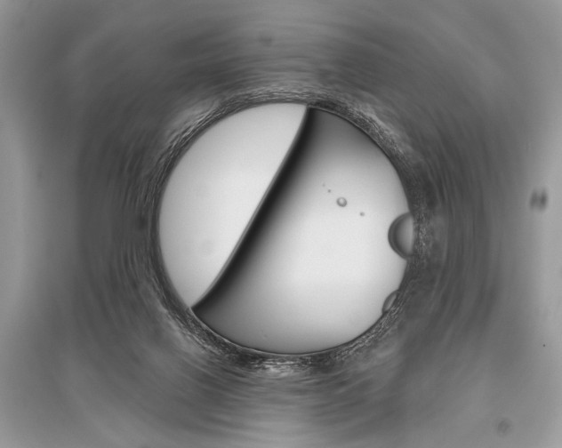 X0000096490070200801241220