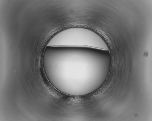 X0000096490071200801241220