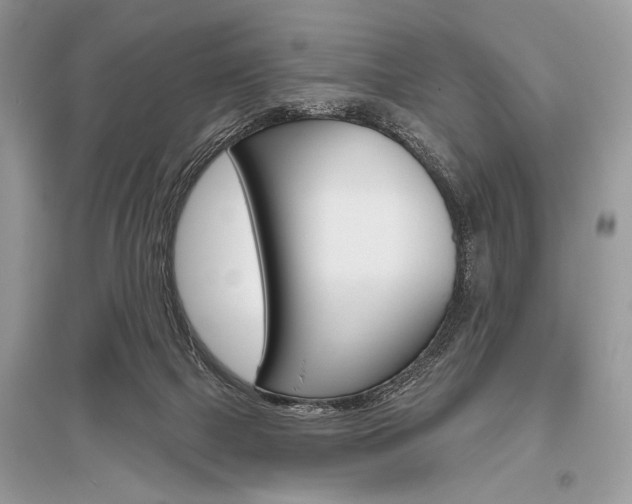 X0000096490073200801241220