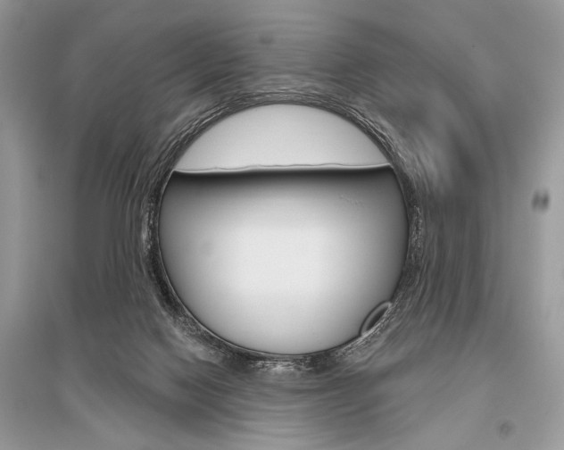 X0000096490074200801241220