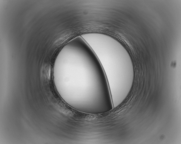 X0000096490076200801241220