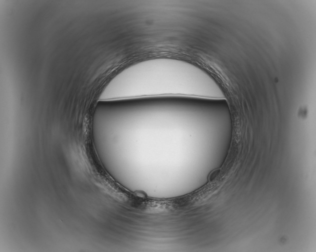 X0000096490077200801241220