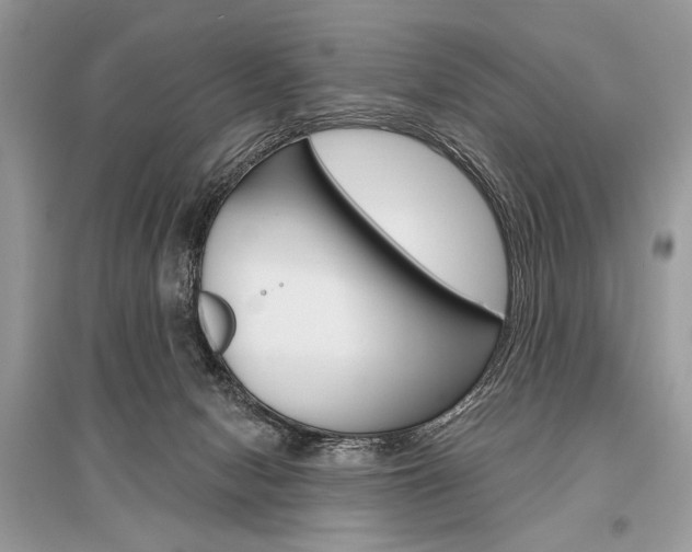 X0000096490078200801241220