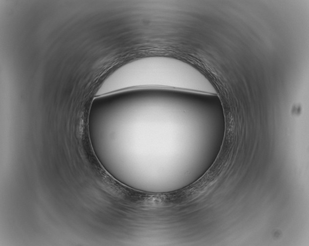 X0000096490080200801241220