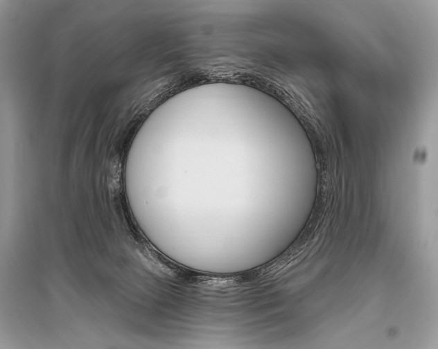 X0000096490081200801241220