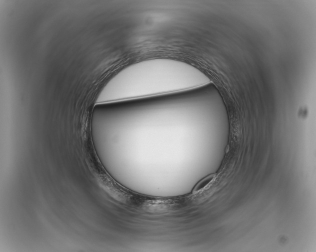 X0000096490082200801241220