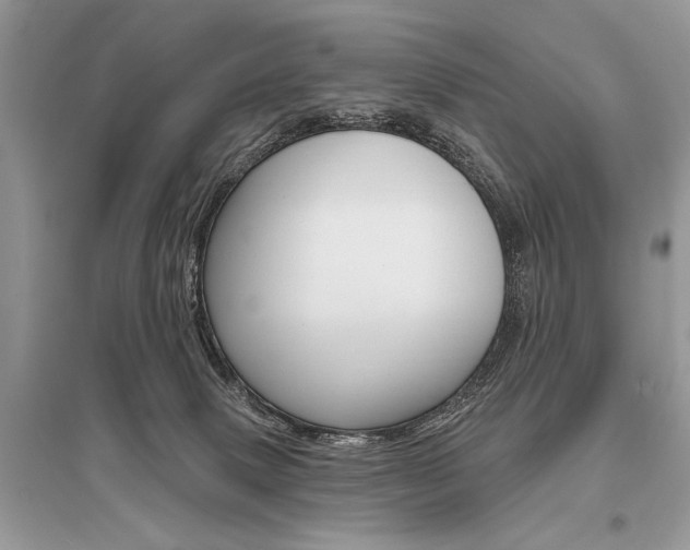 X0000096490083200801241220