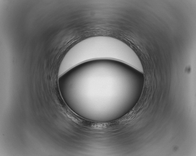 X0000096490084200801241220