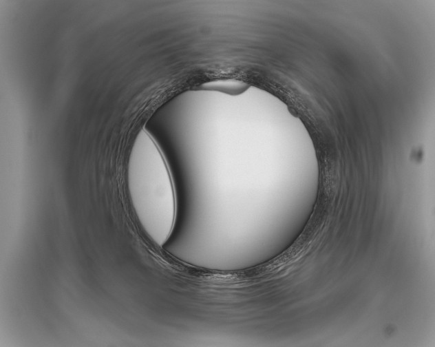 X0000096490085200801241220