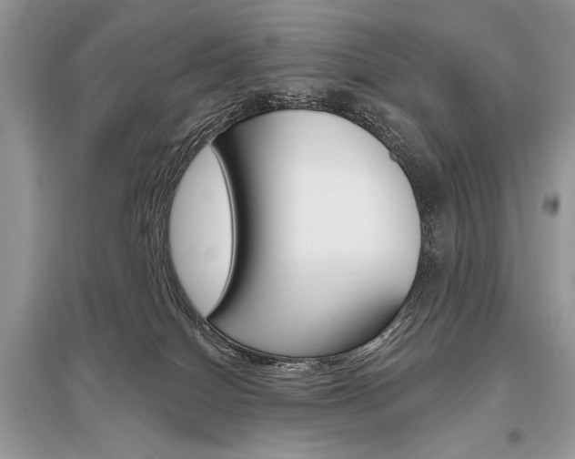 X0000096490086200801241220