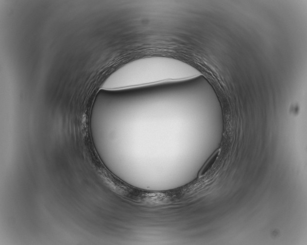 X0000096490087200801241220