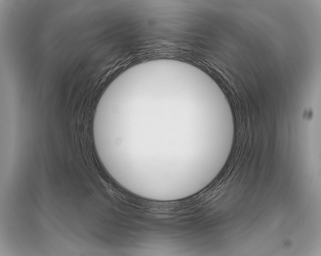 X0000096490088200801241220