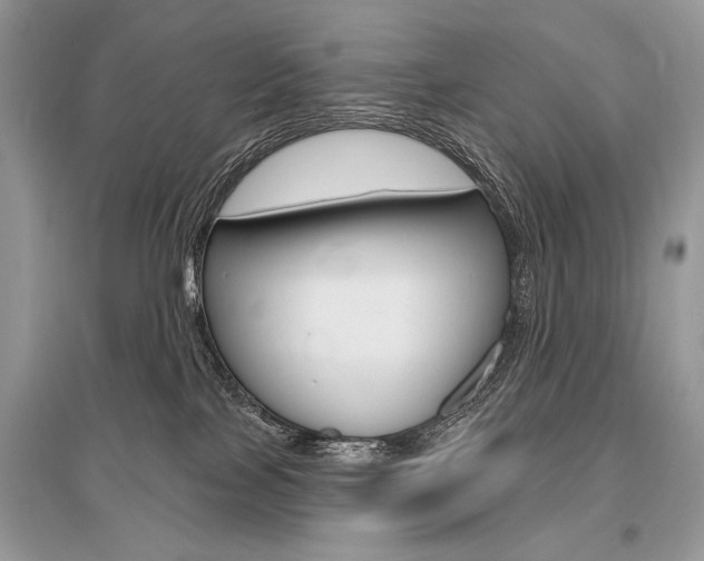 X0000096490089200801241220