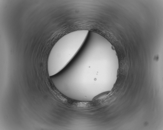 X0000096490090200801241220