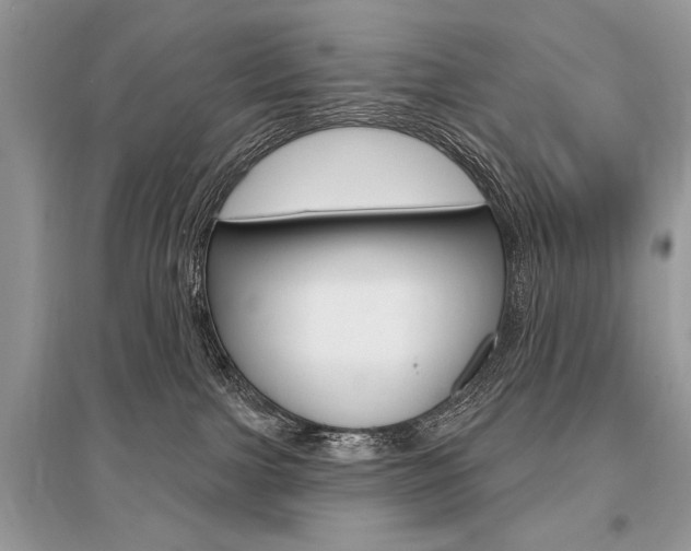 X0000096490091200801241221