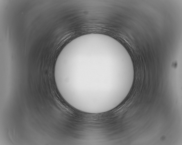 X0000096490092200801241221