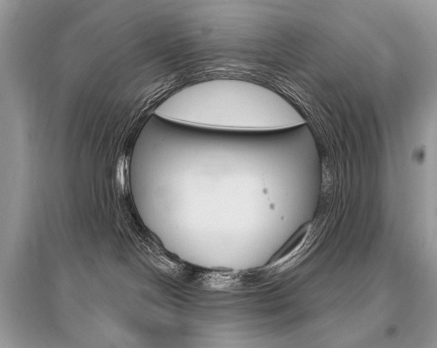X0000096490094200801241221