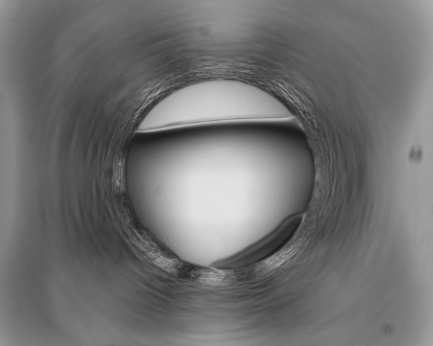 X0000096490096200801241221