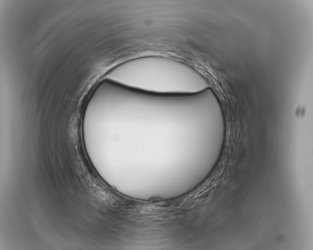 X0000096490098200801241220